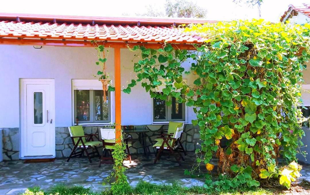 Cristi Apartments Skala Rachoni  Exterior foto